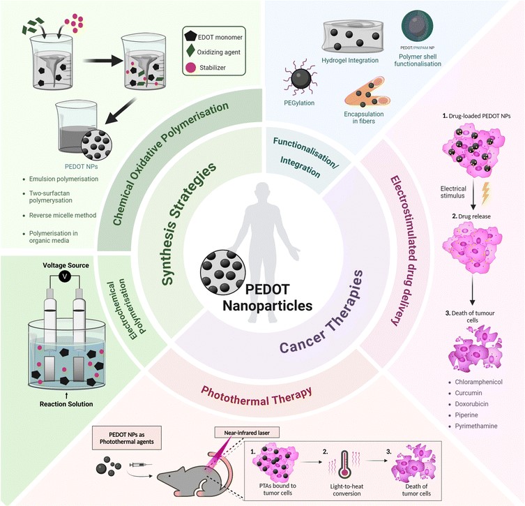 Synthesis strategies and cancer therapy applications of PEDOT ...
