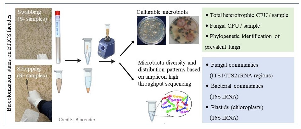 Microbial communities on the surface of ETICS facades in residential ...