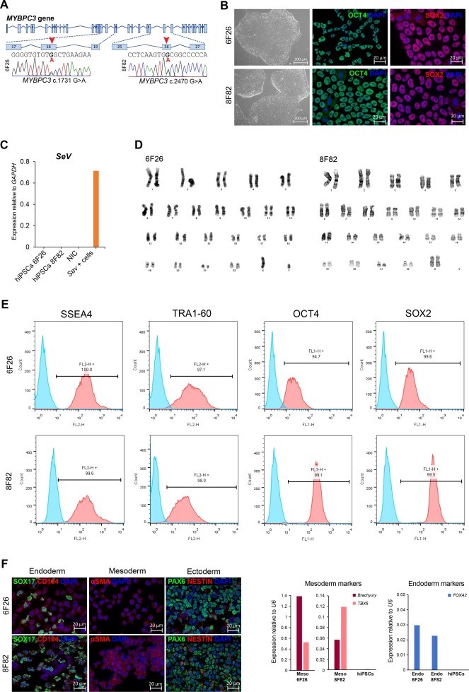 Generation of induced pluripotent stem cell lines from two unrelated ...